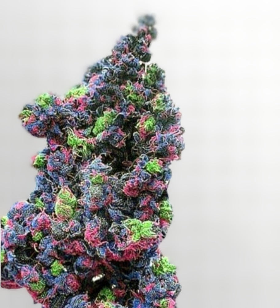 Rainbow Haze Feminized Marijuana Seeds (5 pk)