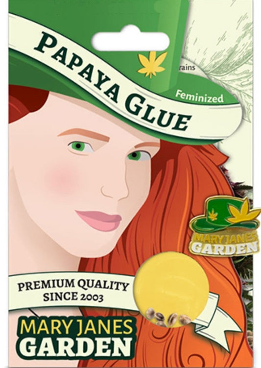 Papaya Glue Feminized Marijuana Seeds (5 pk)