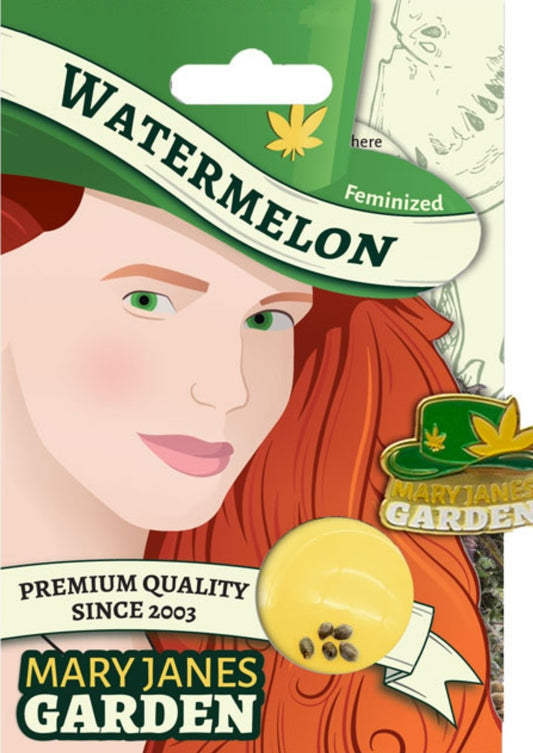 Watermelon Feminized Marijuana Seeds (5 pk)