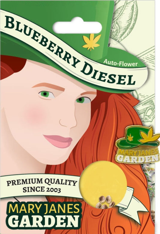 Blueberry Diesel Autoflowering Marijuana Seeds (5 pk)