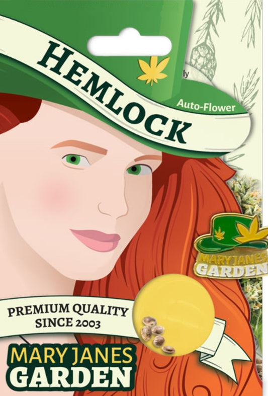 Hemlock Autoflowering Marijuana Seeds (5 pk)